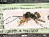 ( - BIOUG05397-F01)  @11 [ ] by-nc-sa (2020) SNSB, Staatliche Naturwissenschaftliche Sammlungen Bayerns SNSB, Zoologische Staatssammlung Muenchen