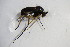  ( - BIOUG05775-H04)  @12 [ ] CreativeCommons - Attribution Non-Commercial Share-Alike (2015) Unspecified SNSB, Zoologische Staatssammlung Muenchen