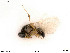  ( - BIOUG05949-B09)  @11 [ ] by-nc-sa (2020) SNSB, Staatliche Naturwissenschaftliche Sammlungen Bayerns SNSB, Zoologische Staatssammlung Muenchen