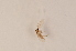  ( - BIOUG06051-G09)  @12 [ ] CreativeCommons - Attribution Non-Commercial Share-Alike (2015) Unspecified SNSB, Zoologische Staatssammlung Muenchen