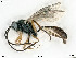  ( - BIOUG06059-C11)  @14 [ ] by-nc-sa (2020) SNSB, Staatliche Naturwissenschaftliche Sammlungen Bayerns SNSB, Zoologische Staatssammlung Muenchen