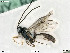  ( - BIOUG06059-D01)  @11 [ ] by-nc-sa (2020) SNSB, Staatliche Naturwissenschaftliche Sammlungen Bayerns SNSB, Zoologische Staatssammlung Muenchen