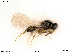  ( - BIOUG06064-A04)  @11 [ ] by-nc-sa (2020) SNSB, Staatliche Naturwissenschaftliche Sammlungen Bayerns SNSB, Zoologische Staatssammlung Muenchen