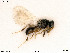 ( - BIOUG06064-F05)  @11 [ ] by-nc-sa (2020) SNSB, Staatliche Naturwissenschaftliche Sammlungen Bayerns SNSB, Zoologische Staatssammlung Muenchen