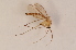 ( - BIOUG06069-B12)  @14 [ ] CreativeCommons - Attribution Non-Commercial Share-Alike (2015) Unspecified SNSB, Zoologische Staatssammlung Muenchen