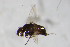  ( - BIOUG06275-B06)  @12 [ ] CreativeCommons - Attribution Non-Commercial Share-Alike (2015) Unspecified SNSB, Zoologische Staatssammlung Muenchen