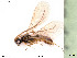  ( - BIOUG06777-D11)  @11 [ ] by-nc-sa (2020) SNSB, Staatliche Naturwissenschaftliche Sammlungen Bayerns SNSB, Zoologische Staatssammlung Muenchen