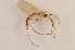  ( - BIOUG07407-H09)  @12 [ ] CreativeCommons - Attribution Non-Commercial Share-Alike (2015) Unspecified SNSB, Zoologische Staatssammlung Muenchen