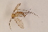  ( - BIOUG07508-H03)  @13 [ ] CreativeCommons - Attribution Non-Commercial Share-Alike (2015) Unspecified SNSB, Zoologische Staatssammlung Muenchen