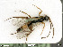  ( - BIOUG07502-B08)  @13 [ ] by-nc-sa (2020) SNSB, Staatliche Naturwissenschaftliche Sammlungen Bayerns SNSB, Zoologische Staatssammlung Muenchen