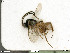  ( - BIOUG07502-H08)  @11 [ ] by-nc-sa (2020) SNSB, Staatliche Naturwissenschaftliche Sammlungen Bayerns SNSB, Zoologische Staatssammlung Muenchen