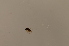  ( - BIOUG08128-D06)  @11 [ ] CreativeCommons - Attribution Non-Commercial Share-Alike (2015) Unspecified SNSB, Zoologische Staatssammlung Muenchen