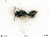  ( - BIOUG08175-F02)  @11 [ ] by-nc-sa (2020) SNSB, Staatliche Naturwissenschaftliche Sammlungen Bayerns SNSB, Zoologische Staatssammlung Muenchen