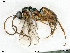  ( - BIOUG08212-F10)  @11 [ ] by-nc-sa (2020) SNSB, Staatliche Naturwissenschaftliche Sammlungen Bayerns SNSB, Zoologische Staatssammlung Muenchen