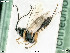  ( - BIOUG08212-H02)  @13 [ ] by-nc-sa (2020) SNSB, Staatliche Naturwissenschaftliche Sammlungen Bayerns SNSB, Zoologische Staatssammlung Muenchen