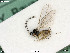  ( - BIOUG08212-H04)  @11 [ ] by-nc-sa (2020) SNSB, Staatliche Naturwissenschaftliche Sammlungen Bayerns SNSB, Zoologische Staatssammlung Muenchen