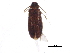  ( - BIOUG02789-B07)  @14 [ ] CreativeCommons - Attribution (2015) CBG Photography Group Centre for Biodiversity Genomics