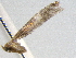  ( - BIOUG02946-E12)  @12 [ ] CreativeCommons - Attribution (2012) CBG Photography Group Centre for Biodiversity Genomics