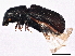  ( - BIOUG02789-D10)  @14 [ ] CreativeCommons - Attribution (2013) CBG Photography Group Centre for Biodiversity Genomics