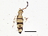  ( - BIOUG04562-H09)  @14 [ ] CreativeCommons - Attribution (2013) CBG Photography Group Centre for Biodiversity Genomics