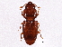  ( - BIOUG02789-E12)  @13 [ ] CreativeCommons - Attribution (2013) CBG Photography Group Centre for Biodiversity Genomics