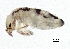  ( - BIOUG04693-D12)  @14 [ ] CreativeCommons - Attribution (2013) CBG Photography Group Centre for Biodiversity Genomics