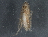  ( - BIOUG02919-D08)  @12 [ ] CreativeCommons - Attribution (2013) CBG Photography Group Centre for Biodiversity Genomics