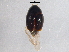  ( - BIOUG03015-C12)  @13 [ ] CreativeCommons - Attribution (2012) CBG Photography Group Centre for Biodiversity Genomics