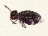  ( - BIOUG04816-H07)  @11 [ ] CreativeCommons - Attribution (2013) CBG Photography Group Centre for Biodiversity Genomics