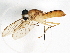  ( - BIOUG01561-G06)  @14 [ ] CreativeCommons - Attribution (2013) CBG Photography Group Centre for Biodiversity Genomics