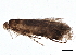  ( - BIOUG03071-A03)  @13 [ ] CreativeCommons - Attribution (2013) CBG Photography Group Centre for Biodiversity Genomics