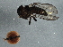 ( - BIOUG03072-E09)  @13 [ ] CreativeCommons - Attribution (2013) CBG Photography Group Centre for Biodiversity Genomics