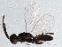  ( - BIOUG04234-E04)  @13 [ ] CreativeCommons - Attribution (2013) CBG Photography Group Centre for Biodiversity Genomics