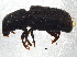  ( - BIOUG03582-H05)  @14 [ ] CreativeCommons - Attribution (2013) CBG Photography Group Centre for Biodiversity Genomics
