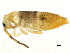  ( - BIOUG04724-H09)  @15 [ ] CreativeCommons - Attribution (2013) CBG Photography Group Centre for Biodiversity Genomics