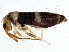  ( - BIOUG04713-C12)  @15 [ ] CreativeCommons - Attribution (2013) CBG Photography Group Centre for Biodiversity Genomics