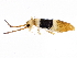  ( - BIOUG04779-H05)  @15 [ ] CreativeCommons - Attribution (2013) CBG Photography Group Centre for Biodiversity Genomics