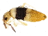  ( - BIOUG04833-G04)  @15 [ ] CreativeCommons - Attribution (2013) CBG Photography Group Centre for Biodiversity Genomics