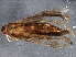  ( - BIOUG04722-D04)  @12 [ ] CreativeCommons - Attribution (2013) CBG Photography Group Centre for Biodiversity Genomics