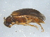  ( - BIOUG04767-F06)  @13 [ ] CreativeCommons - Attribution (2013) CBG Photography Group Centre for Biodiversity Genomics