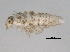  ( - BIOUG04767-G05)  @12 [ ] CreativeCommons - Attribution (2013) CBG Photography Group Centre for Biodiversity Genomics