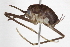  ( - BIOUG04509-E01)  @12 [ ] CreativeCommons - Attribution (2013) CBG Photography Group Centre for Biodiversity Genomics