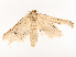  ( - CBG-B21220-C05)  @11 [ ] CreativeCommons - Attribution Share - Alike (2025) CBG Photography Group Centre for Biodiversity Genomics