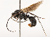  ( - CBG-B23320-D11)  @11 [ ] CreativeCommons - Attribution Share - Alike (2025) CBG Photography Group Centre for Biodiversity Genomics