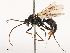  ( - CBG-B23320-D12)  @11 [ ] CreativeCommons - Attribution Share - Alike (2025) CBG Photography Group Centre for Biodiversity Genomics