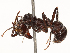  ( - CBG-B23324-G06)  @11 [ ] CreativeCommons - Attribution Share - Alike (2025) CBG Photography Group Centre for Biodiversity Genomics