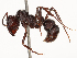  ( - CBG-B23324-G07)  @11 [ ] CreativeCommons - Attribution Share - Alike (2025) CBG Photography Group Centre for Biodiversity Genomics