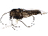  ( - BIOUG15519-E02)  @14 [ ] CreativeCommons - Attribution (2015) CBG Photography Group Centre for Biodiversity Genomics