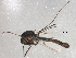  ( - BIOUG15603-C10)  @12 [ ] CreativeCommons - Attribution (2015) CBG Photography Group Centre for Biodiversity Genomics