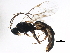  ( - BIOUG15667-C03)  @13 [ ] CreativeCommons - Attribution (2015) CBG Photography Group Centre for Biodiversity Genomics